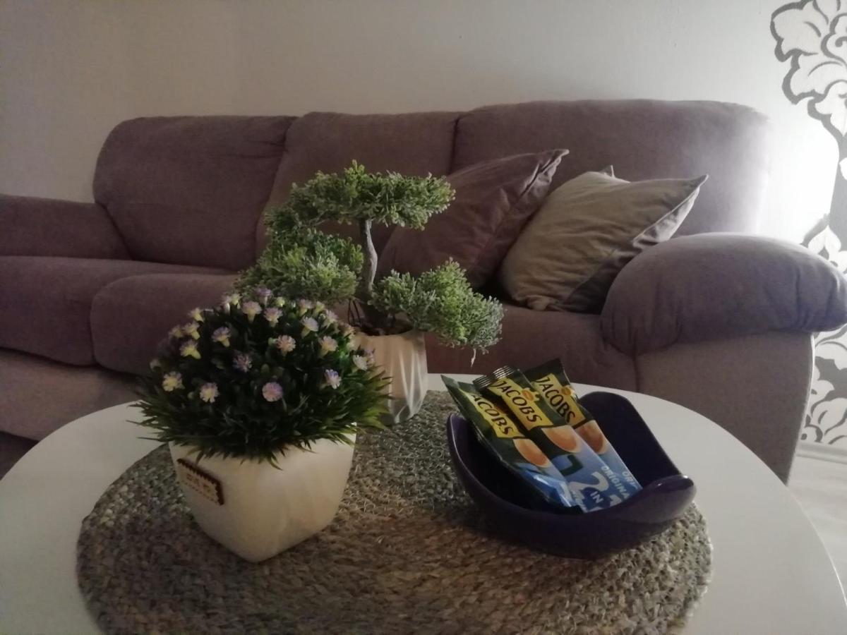Apartment Green Free Private Parking Novi Sad Dış mekan fotoğraf