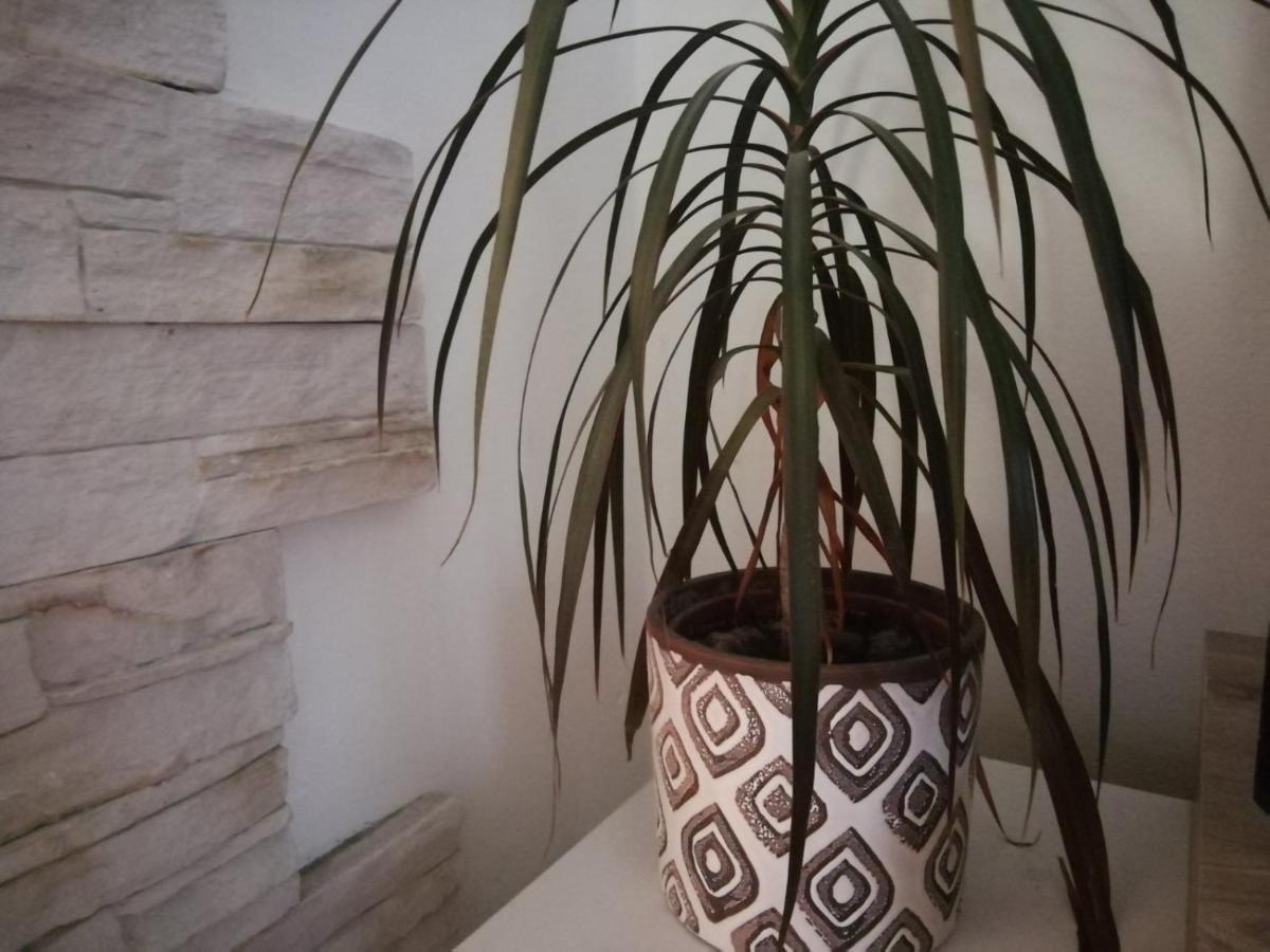 Apartment Green Free Private Parking Novi Sad Dış mekan fotoğraf