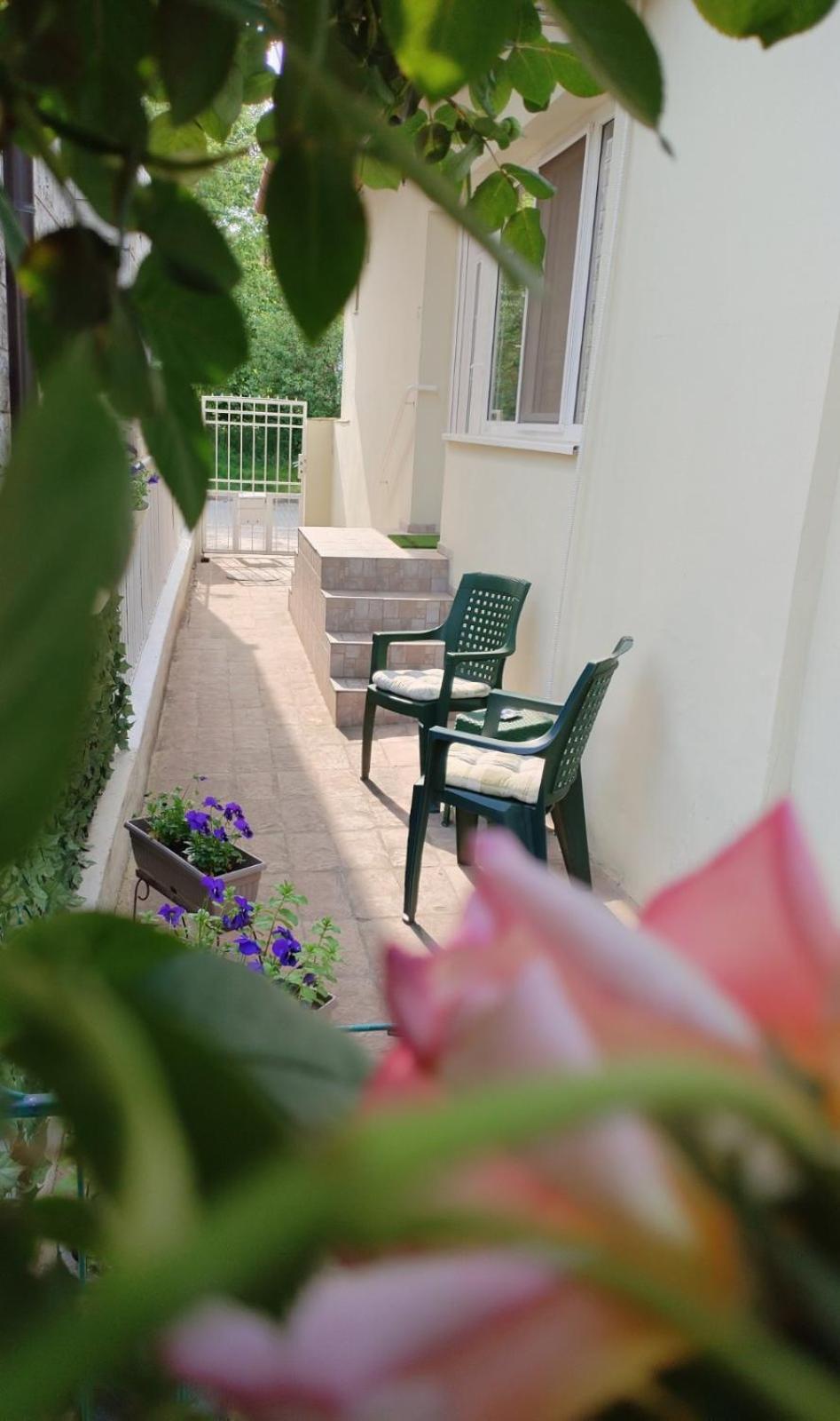 Apartment Green Free Private Parking Novi Sad Dış mekan fotoğraf